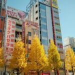 Colorful autumn trees line the streets of bustling Tokyo, Japan, amidst high-rise buildings.