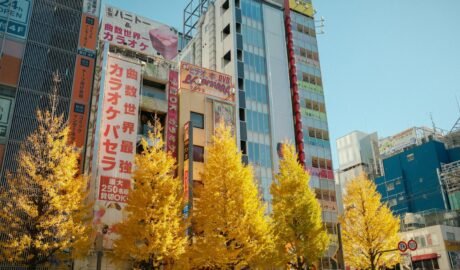 Colorful autumn trees line the streets of bustling Tokyo, Japan, amidst high-rise buildings.